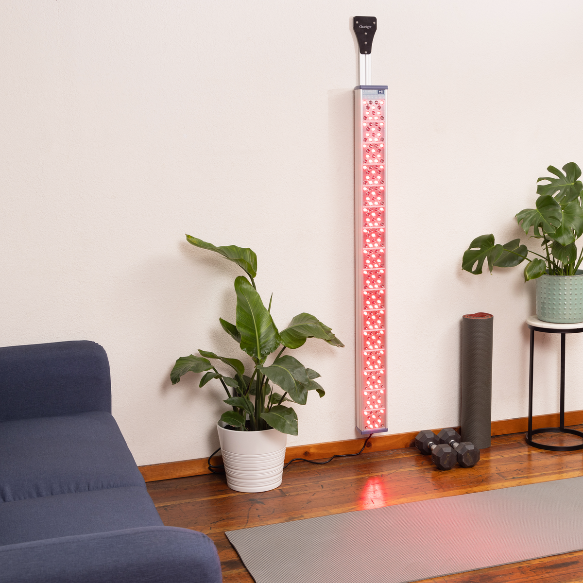 Large Fixed Wall Mount (CORE & FULL BODY)