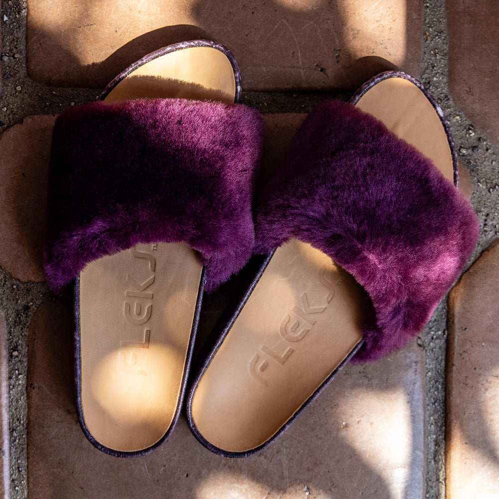 WellNest San Ysidro Recovery Slide – Fig