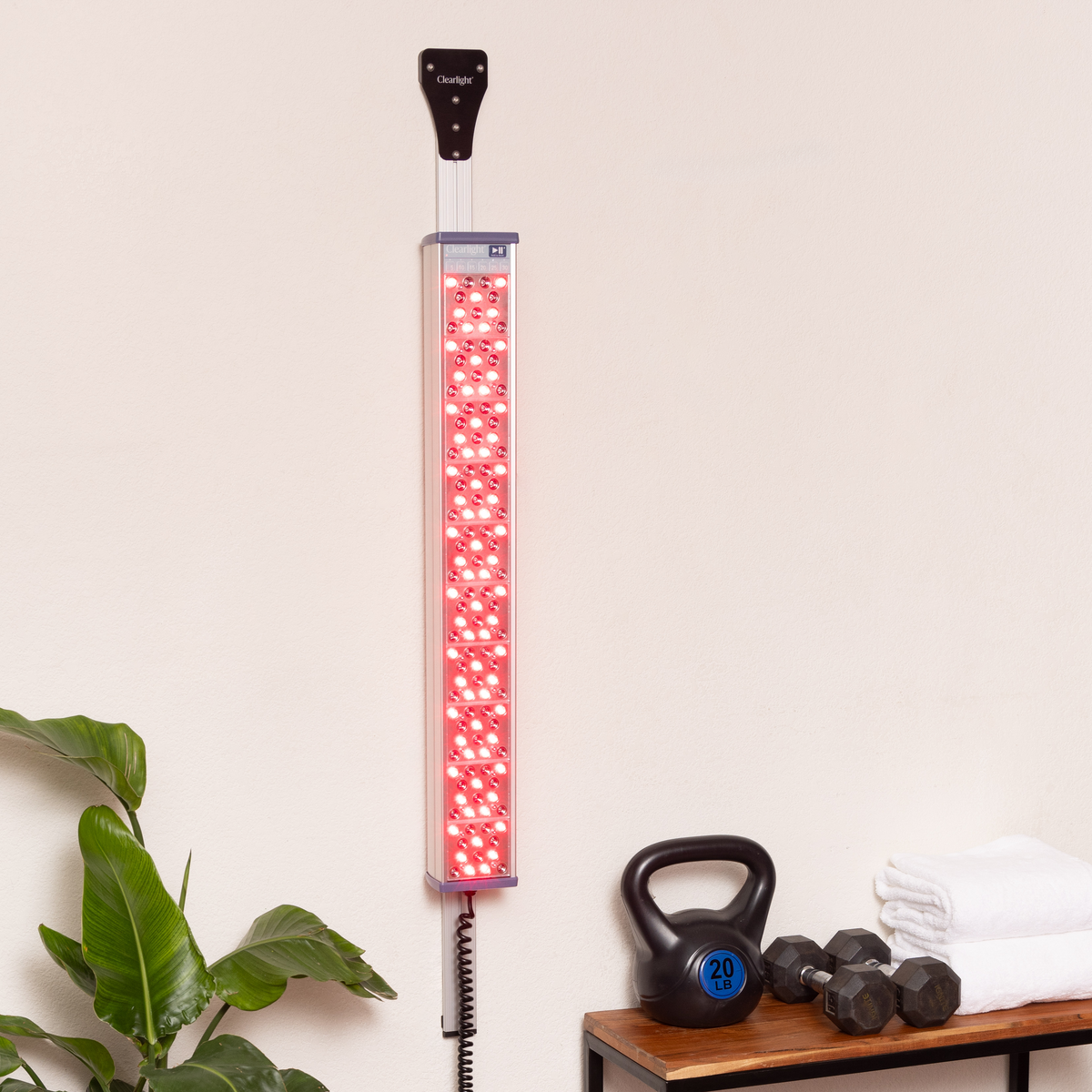Large Fixed Wall Mount (CORE & FULL BODY)