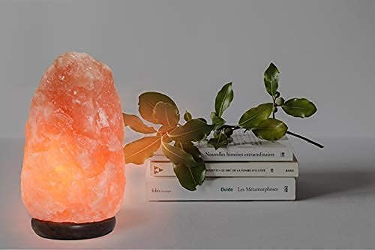 7" Himalayan Salt Lamp with Dimmer Cord - Natural Crystal Rock Night Light
