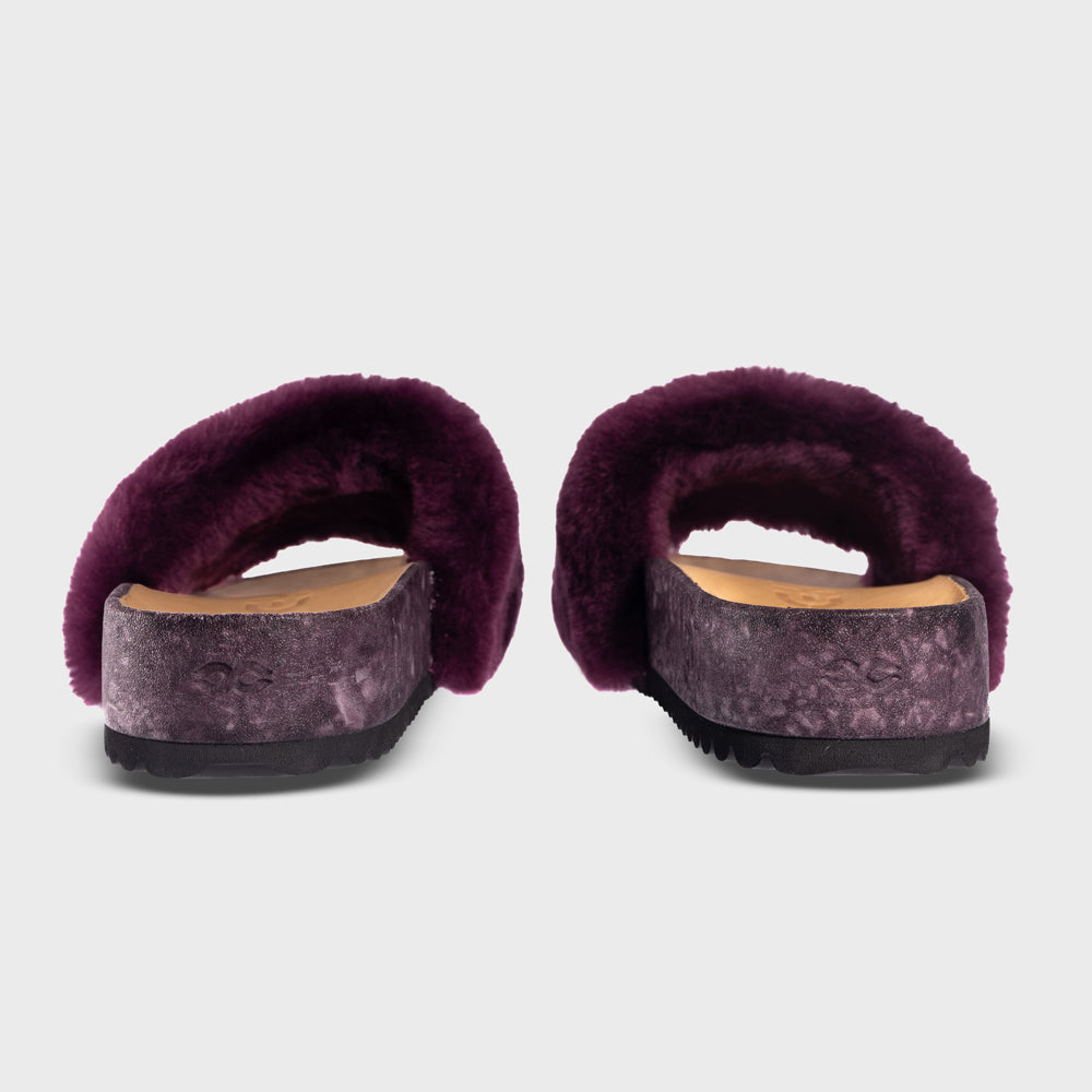 WellNest San Ysidro Recovery Slide – Fig