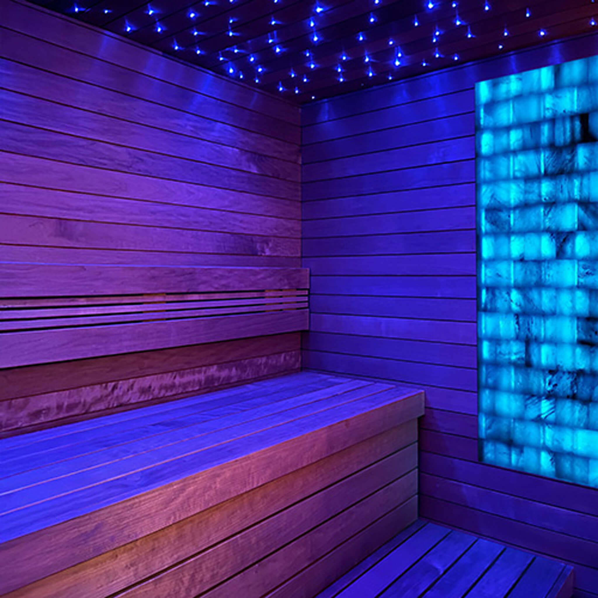 WellNest PROSAUNAS™ Himalayan Salt Wall Kit